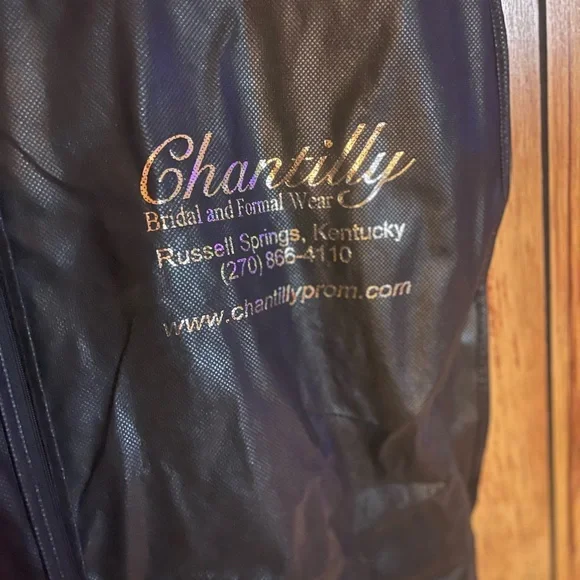 Tony Bowls Pink Tulle Beaded Lace Prom Dress Size 0 Sweet 16 & Special Occasion - Picture 6 of 7